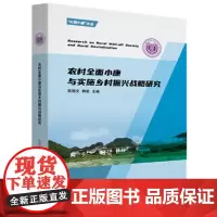 农村全面小康与实施乡村振兴战略研究