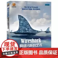 Wireshark网络分析的艺术 林沛满 著 网络通信(新)专业科技 正版图书籍 人民邮电出版社