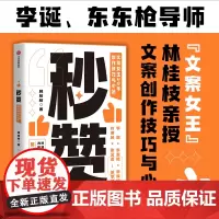 秒赞 文案女王20年创作技巧与心法 林桂枝 中信出版社 奥美前首席文案亲授 文案实操技巧 创意广告营销