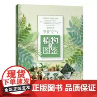 []净化空气植物大图鉴 有效净化空气花草集 了解监测空气污染的植物类别 花草识别手册书籍 益于空气质量常见植物解析