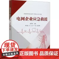 电网企业应急救援 田迎祥 编 电子/通信(新)专业科技 正版图书籍 中国电力出版社