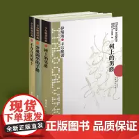 卡尔维诺经典代表作 我们的祖先三部曲 树上的男爵+分成两半的子爵+不存在的骑士 外国文学小说意大利经典书籍译林出版正版