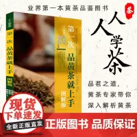 第一次品黄茶就上手(图解版)人人学茶丛书教学科研与生产一线黄茶专家全面系统解析黄茶
