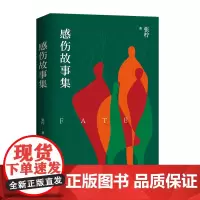 感伤故事集 张柠 著 一部小人物的生活寓言 一部生活感十足,温暖又亲切的中短篇小说集