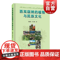 西双版纳的植物与民族文化 裴盛基研究植物和人类相互关系的民族植物学图书少数民族生物景观文化许又凯 上海科学技术出版社