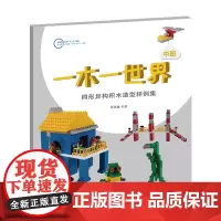 一木一世界 同形异构积木造型样例集 中班