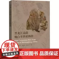 黑龙江嘉荫晚白垩世植物群 孙革 等 著 科普百科专业科技 正版图书籍 上海科技教育出版社