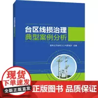 台区线损治理典型案例分析 国网山东省电力公司营销部 编 电工技术/家电维修专业科技 正版图书籍 中国电力出版社