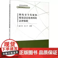 核电安全发展和煤炭清洁化利用的法律保障 陈兴华,张小平 编 自然资源与环境保护法大中专 正版图书籍 立信会计出版社
