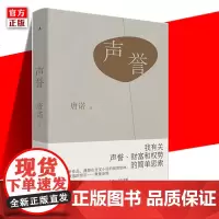正版 声誉 唐诺 著 中国文学随笔 作品集 阅读的故事 尽头 眼前 重读 梁文道 文字的故事 理想国