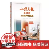 小说月报原创版2020年精品集 小说 小说集 当代文学