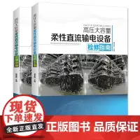 [店]高压大容量柔性直流输电设备检修及运维指南