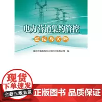 电力营销集约管控建设与实施 田珂,郑慧娟 著 各部门经济专业科技 正版图书籍 中国电力出版社