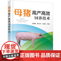 母猪高产高效饲养技术 王丽荣,李小军,王杰琼 编 畜牧/养殖专业科技 正版图书籍 化学工业出版社