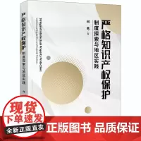严格知识产权保护 制度探索与地区实践 何隽 著 法律知识读物社科 正版图书籍 知识产权出版社
