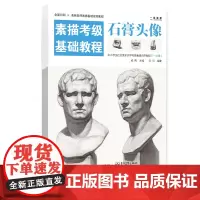 素描考级基础教程石膏头像(7-10)中小学社会美术考级零基础入门王引人物素描石膏像五官步骤解析对照临摹画册全国高考艺考教