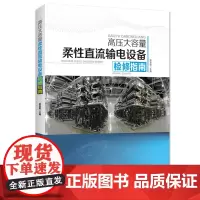 [店]高压大容量柔性直流输电设备检修指南