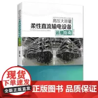 [店]高压大容量柔性直流输电设备运维指南