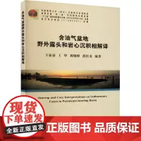 含油气盆地野外露头和岩心沉积相解译 王家豪 等 编 冶金工业专业科技 正版图书籍 中国地质大学出版社