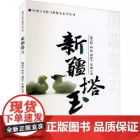 新疆塔玉 廖宗廷 等 著 冶金工业专业科技 正版图书籍 中国地质大学出版社