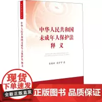中华人民共和国未成年人保护法释义 宋英辉,苑宁宁 著 司法案例/实务解析社科 正版图书籍 中国法制出版社