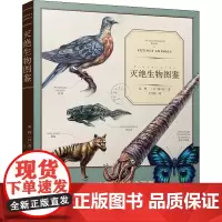 灭绝生物图鉴 赵烨,(日)森乃乙 著 王宇佳 译 动物专业科技 正版图书籍 南海出版公司