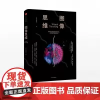 图像思维 张展鸿 著 视觉化询导创始人教你左右脑同步思考并解决问题 中信出版社图书 正版书籍