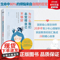 正版 为什么我们总觉得自己不够好 国内心理咨询师 心理健康高级讲师倾情讲述 建立持续 稳定的自我认同感