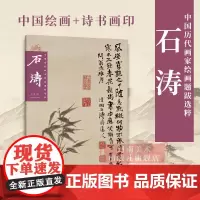 [正版]石涛 中国历代画家绘画题跋选粹 中国绘画+诗书画印 高清大图国画入门临摹画册山水作品集 画集范本学习观赏书籍