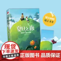 正版丨 夏日之旅1·爸爸不只是个词语 儿童文学作家姚晓虹作品亲子关系书:走进孩子内心深处 孩子和父母共同成长