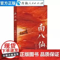 南八仙 本书是弘扬柴达木石油精神的长篇小说 现当代纪实报告文学名家经典散文集随笔书籍
