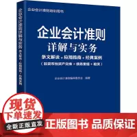 企业会计准则详解与实务 条文解读+应用指南+经典案例(非货币性资产交换+债务重组+租赁 企业会计准则编审委员会 编 会计