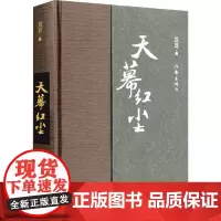 天幕红尘(精装)豆豆 原著 写有《遥远的救世主》 商战的历史风云和人生思考 爱情小说现当代文学小说书 作家出版社