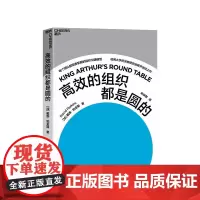 [湛庐店]高效的组织都是圆的 商业管理 企业管理 哈佛大学心理学教授、“零点项目”创始人珀金斯前沿之作 正版