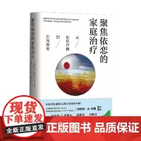 聚焦依恋的家庭治疗 从创伤疗愈到日常养育 (美)丹尼尔·A.休斯 著 孙寒,陈东辉 译 育儿其他经管、励志 正版图书籍