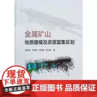 金属矿山地质建模及资源富集区划 陶志刚 等 著 建筑/水利(新)专业科技 正版图书籍 中国建筑工业出版社