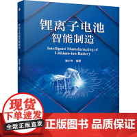 锂离子电池智能制造 崔少华 编 能源与动力工程专业科技 正版图书籍 机械工业出版社