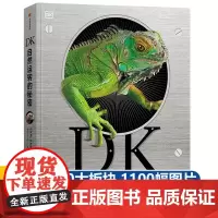 DK自然运转的秘密 探索自然奥秘大百科儿童科普绘本小百科读物全套科学认知幼儿少儿儿童3-6-9-12岁小学生书籍dk世界