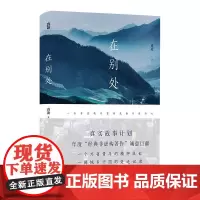 在别处 袁凌 著 纪实/报告文学文学 正版图书籍 天地出版社