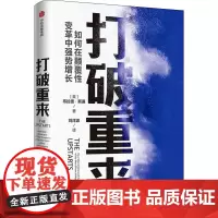 打破重来 (美)布拉德·斯通 著 刘洋波 译 企业管理经管、励志 正版图书籍 中信出版社