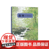 安野光雅:森林 国际安徒生奖 艺术 颠倒国 奇妙国 旅之绘本 走进奇妙的数学世界 想象力 观察力 3-6岁 爱心树