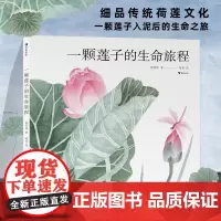 [赠荷塘国画] 一颗莲子的生命旅程 以国画绘出莲的生命轮回国风情怀自然植物科普绘本 大鹏自然童书奖华文原创首奖 浪花朵朵