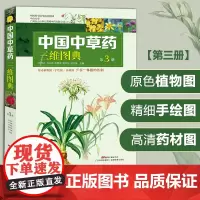 中国中草药三维图典 第3册 原动植物图+手绘图+药材图 中草药彩图大全书 中药书籍大全 草药书 图解 大全 中药学配方