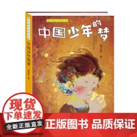 正版图书 中国少年的梦 南京大学出版社店