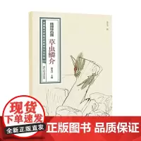 陆抑非白描草虫鳞介 中国美术学院名家教学示范作品大8开高清写生创作 中国画初学入门临摹教程画册页绘画技法赏析教材作品画集