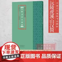 中国古代简牍书法精粹 沅陵虎溪山汉简 毛笔书法字帖临摹赏析汉简字帖简牍书法研究书法篆刻艺术毛笔古代简牍书法 河南美术出版