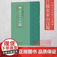 中国古代简牍书法精粹 江陵张家山汉简 毛笔书法字帖临摹赏析汉简字帖简牍书法研究书法篆刻艺术古代简牍书法书籍 河南美术出版
