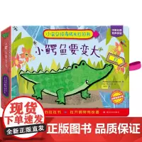 正版图书 