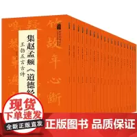 20本翰墨诗词大汇 中国历代名碑名帖丛书 陆有珠著毛笔字帖临摹书籍碑帖米字格 安徽美术出版社