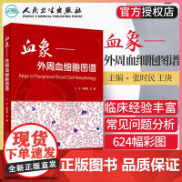 血象 外周血细胞图谱 张时民 王庚主编 可搭外周血细胞形态学检查技术 临床医生参考书籍 血液细胞形态检验